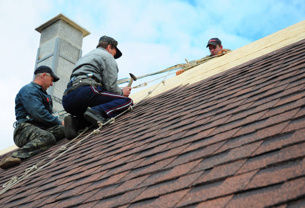 Best Storm Damage Roof Repair  in Paramount Long Meadow, MD